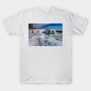 Artists Point T-Shirt